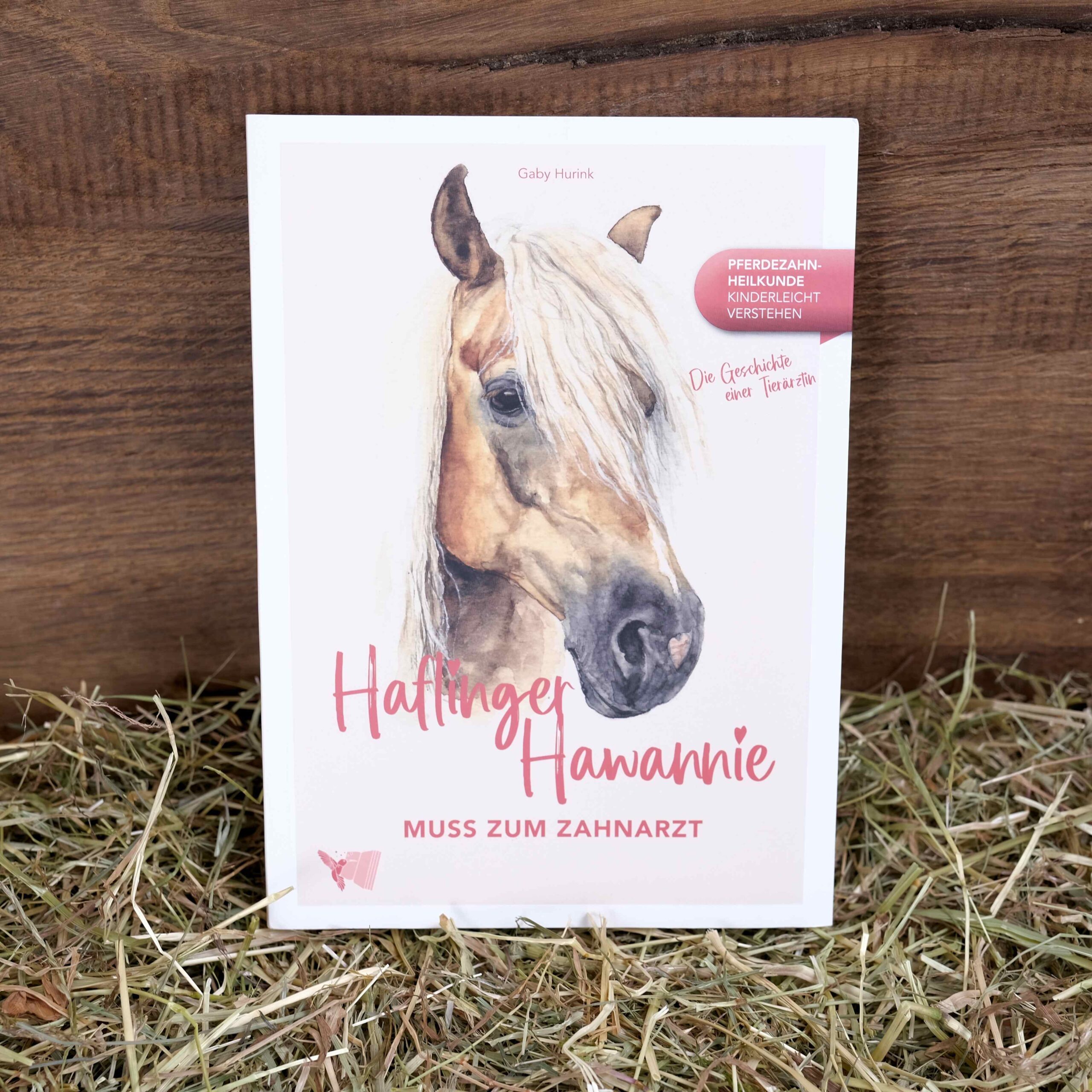Haflinger Hawannie muss zum Zahnarzt