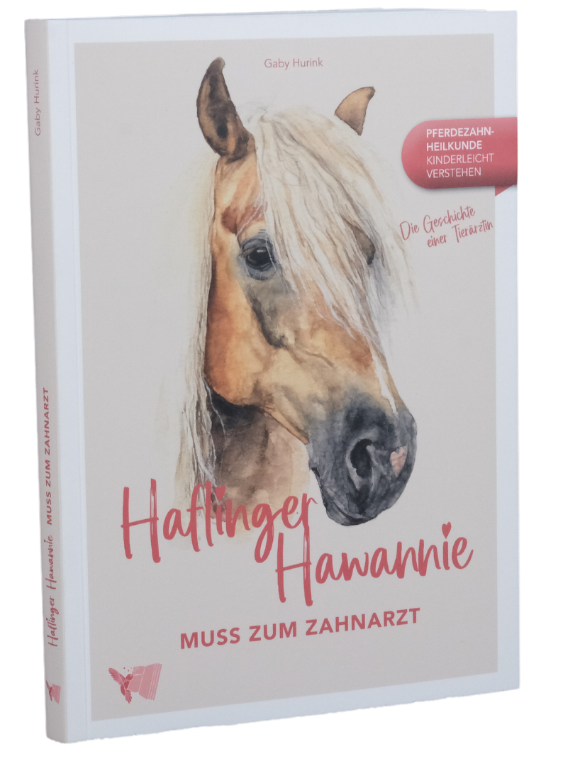 Haflinger Hawannie muss zum Zahnarzt
