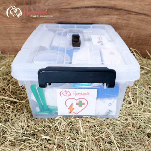 Hawannies Erste-Hilfe-Paket – für den Notfall gut vorbereitet